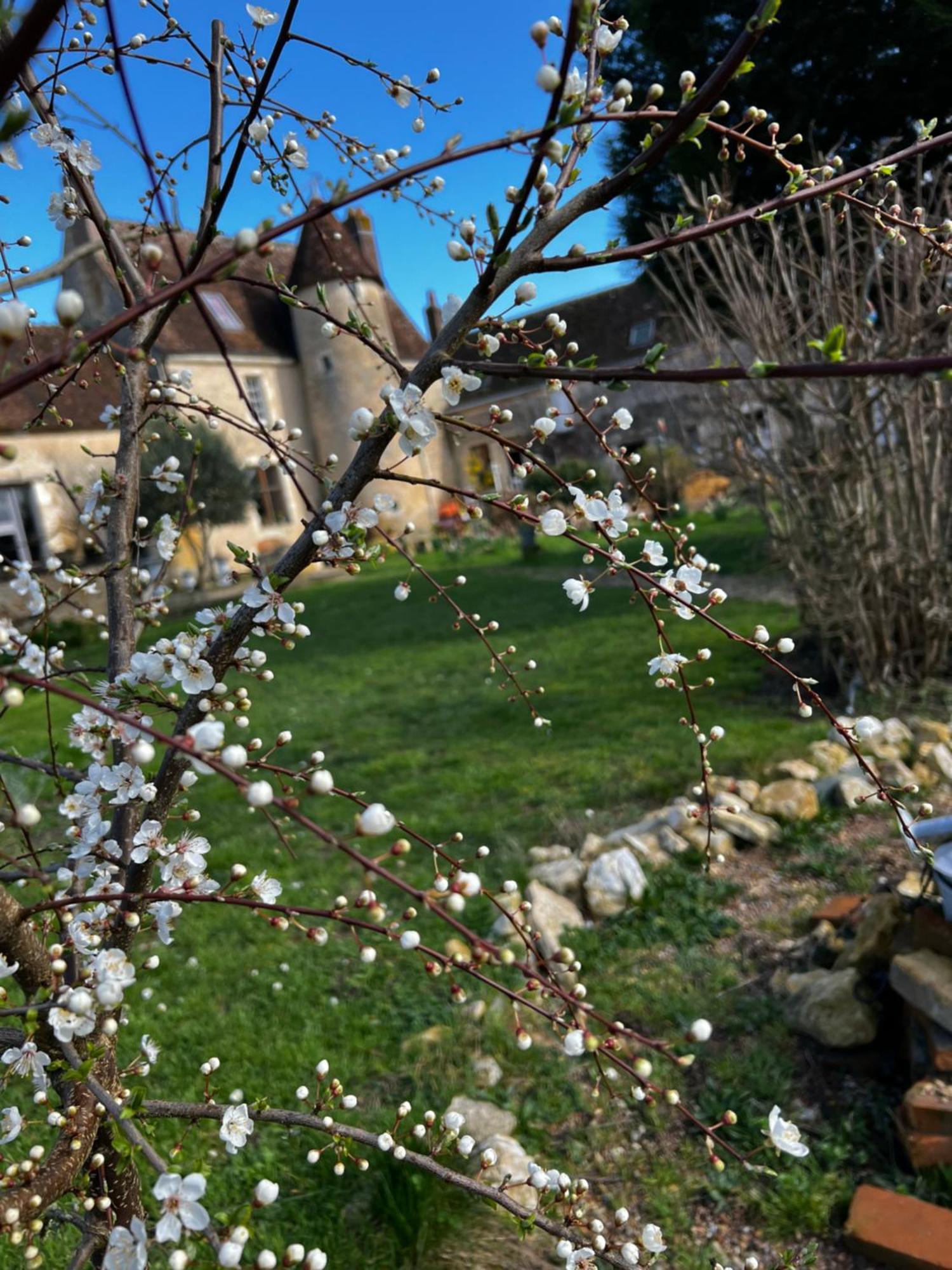 Manoir De La Barre Ceton