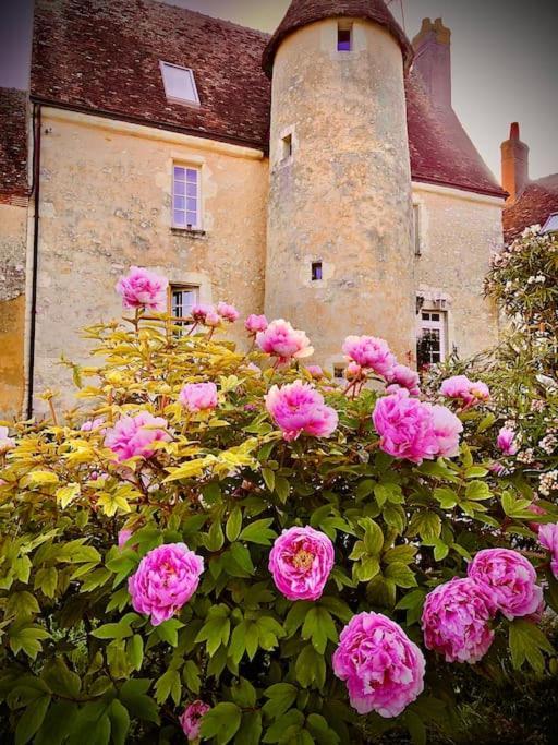 Manoir De La Barre Apartamento Ceton